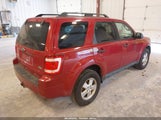Ford Escape Xlt 1FMCU0DG6BKB64798 снимка