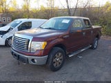 Ford F-150 Fx4/Harley-Davidson/King Ranch/Lariat/Platinum/Xl/Xlt 1FTFW1EV1AFD04486 снимка