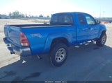 Toyota Tacoma Prerunner V6 5TETU62N65Z128862 photo