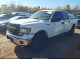 Ford F-150 Xlt 1FTFW1EF3BFB48784 снимка
