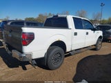 Ford F-150 Xlt 1FTFW1EF3BFB48784 снимка