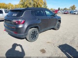 Jeep Compass Trailhawk 4X4 3C4NJDDB4LT167152 снимка