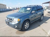 Ford Escape Xlt 1FMCU0DGXBKB98534 снимка