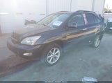 Miniaturka zdjęcia 2