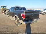 Ford F-150 Fx4/King Ranch/Lariat/Platinum/Xl/Xlt 1FTPW14V49KC44163 photo