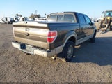 Ford F-150 Fx4/King Ranch/Lariat/Platinum/Xl/Xlt 1FTPW14V49KC44163 photo
