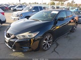 Nissan Maxima 3.5 Platinum/3.5 S/3.5 Sl/3.5 Sr/3.5 Sv 1N4AA6AP6GC446135 photo