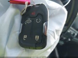 Miniaturka zdjęcia 11