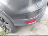 Miniaturka zdjęcia 6