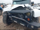 Jeep Wrangler Unlimited Sahara 1C4BJWEGXDL705861 fotografie
