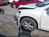Miniaturka zdjęcia 6