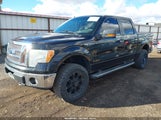 Ford F-150 Fx4/Harley-Davidson/King Ranch/Lariat/Platinum/Xl/Xlt 1FTFW1EV6AFA98713 photo