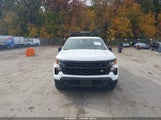 Chevrolet Silverado  2Wd Standard Bed Wt 1GCPAAEK2PZ257209 photo