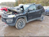 Jeep Compass Trailhawk 4X4 3C4NJDDB9LT190541 снимка