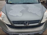 Honda Cr-V Lx JHLRE38317C026644 снимка