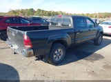 Toyota Tacoma Base V6 5TEMU52N65Z032387 fotografie