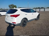 Miniaturka zdjęcia 4