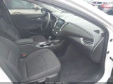 Miniaturka zdjęcia 5
