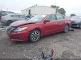 Nissan Altima 2.5 Sv 1N4AL3AP0HC245390 photo