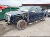 Ford F-150 Fx4/Harley-Davidson/King Ranch/Lariat/Platinum/Xl/Xlt 1FTFW1EV6AKE16546 fotografie