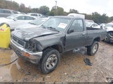 Toyota Pickup 1/2 Ton Short Whlbse Dx 4TARN01P3RZ234495 fotografie
