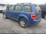 Ford Escape Xls 1FMCU0C72AKA69249 fotografie