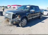 Ford F-150 Fx4/King Ranch/Lariat/Platinum/Xl/Xlt 1FTPW14V29FA60669 photo