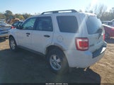 Ford Escape Xlt 1FMCU0D7XAKB55083 снимка
