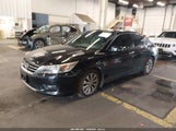 Miniaturka zdjęcia 2