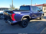 Toyota Tundra Sr5 5TFLA5DB0SX308203 снимка