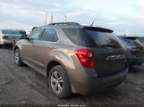 Chevrolet Equinox 1Lt 2GNALDEK4C6391301 снимка