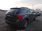 Chevrolet Equinox 1Lt 2GNALDEK4C6391301 снимка