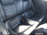 Ford Mustang V6 Deluxe/V6 Premium 1ZVHT84N985117506 photo