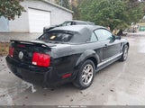 Ford Mustang 1ZVFT84N655244393 снимка