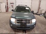 Ford Escape Xlt 1FMCU0DG0AKA71788 снимка