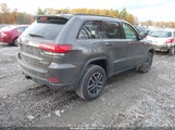 Jeep Grand Cherokee Trailhawk 4X4 1C4RJFLG9MC532772 fotografie