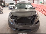 Miniaturka zdjęcia 6