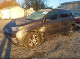 Toyota Rav4 Le JTMBFREV3GJ101828 снимка