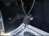 Miniaturka zdjęcia 11