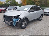 Chevrolet Equinox Ls 2GNAXHEV4K6171287 снимка