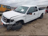 Ford F-150 Xlt 1FTEX1CM0DFD84533 fotografie