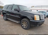 Cadillac Escalade Standard 1GYEK63N82R116095 снимка
