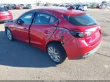 Miniaturka zdjęcia 3