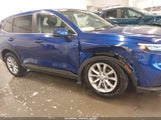 Miniaturka zdjęcia 6