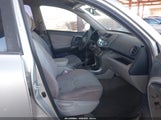 Toyota Rav4 JTMZD33VX66017320 снимка
