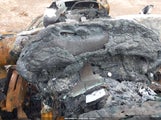 Ford F-150 Xlt 1FTEW1EG1FKD64313 снимка