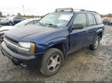 Chevrolet Trailblazer Ls 1GNDT13S962336598 снимка