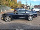 Ford Mustang V6 1ZVHT80N865119329 снимка