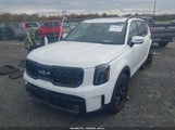 Kia Telluride Sx/Sx X-Line/Sx X-Pro/Sx Prestige/Sx Prest X-Ln/Sx Prest X-Pro 5XYP5DGC4RG449163 снимка