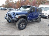 Jeep Wrangler Unlimited Freedom 4X4 1C4HJXDG2LW258473 fotografie